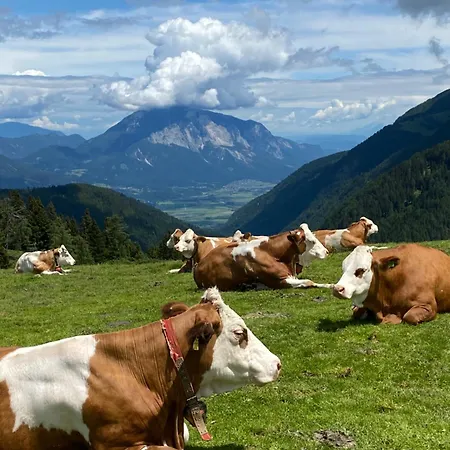 Liana هيرماجور